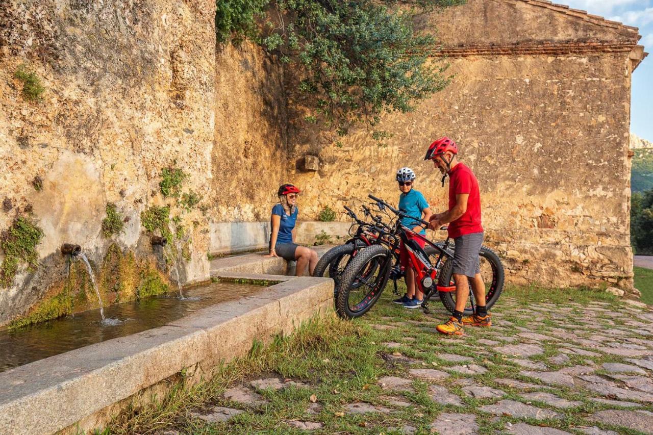 bedbike Baunei Bagian luar foto